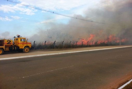 Área verde no Espaço Alternativo pega fogo e preocupa Bombeiros - VÍDEO