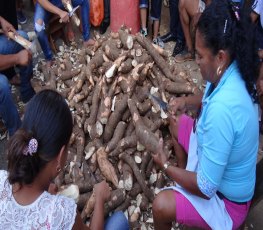 AGRICULTURA - Festa da Mandioca é mais uma vez sucesso em Riacho Azul