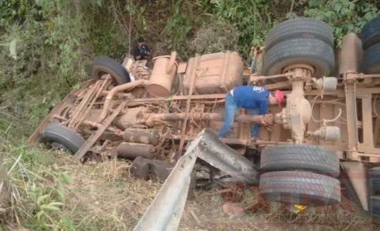 Motorista tomba boiadeiro em serra e vários bois morrem