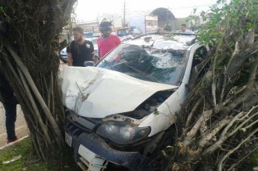 Motorista pede controle de automóvel e bate em árvore