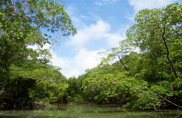 CRIME AMBIENTAL - Fechamento de comportas da UHE Santo Antônio alaga  parte do Parque Nacional do Mapinguari 