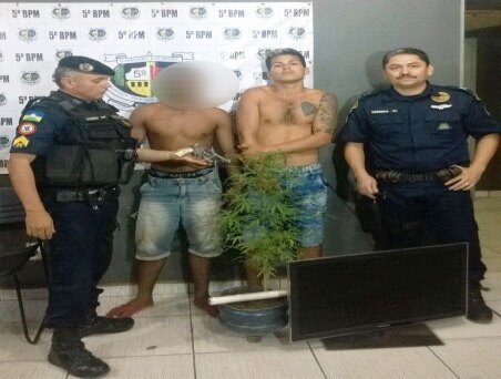 Dupla é presa acusada de cultivar maconha em residência na capital