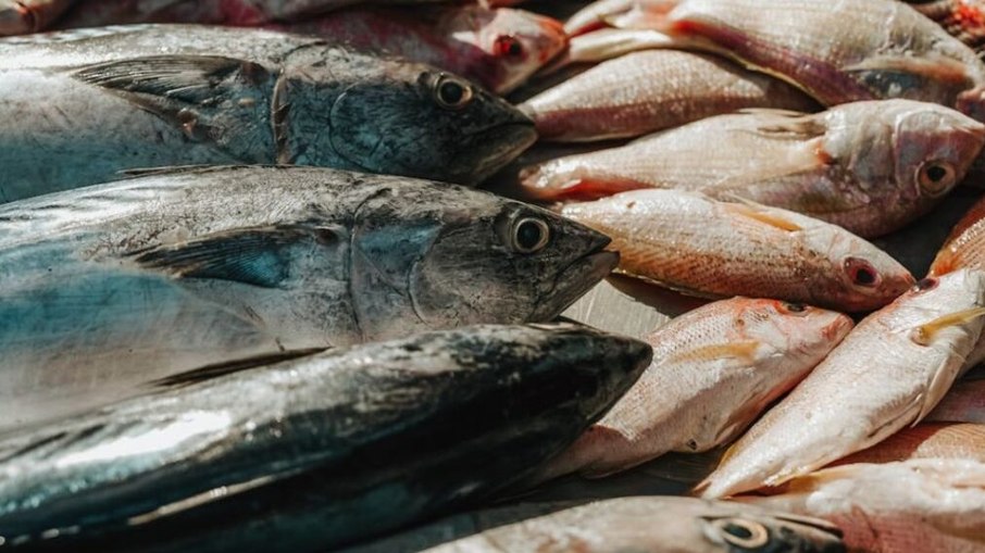 PEIXE NA SEMANA SANTA: Pesquisa aponta variação de até 137% em SC