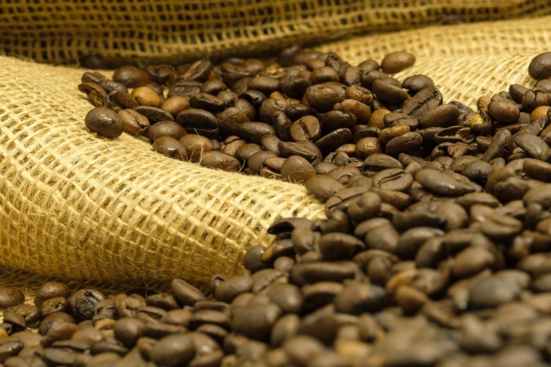 DADOS: Produtividade média dos Cafés do Brasil está em 30,6 sacas por hectare
