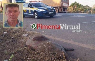 Motociclista perde a vida após atropelar capivara na BR-364 