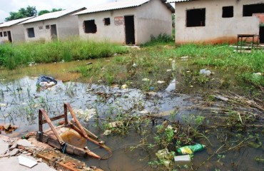 Artigo - Jornal americano mostra Porto Velho como exemplo na Amazônia, será? - Por João Paulo Prudêncio 