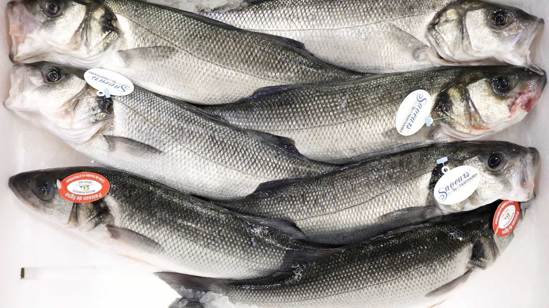 Quaresma e Semana Santa impulsionam consumo de pescados em até 15%