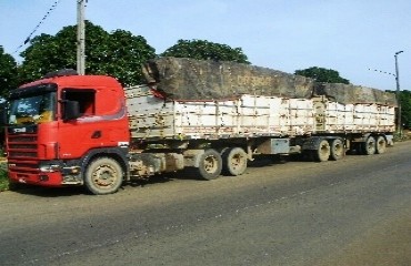 PRF/RO apreende quase 35 m³ de madeira detém condutor do veículo e proprietário da carga