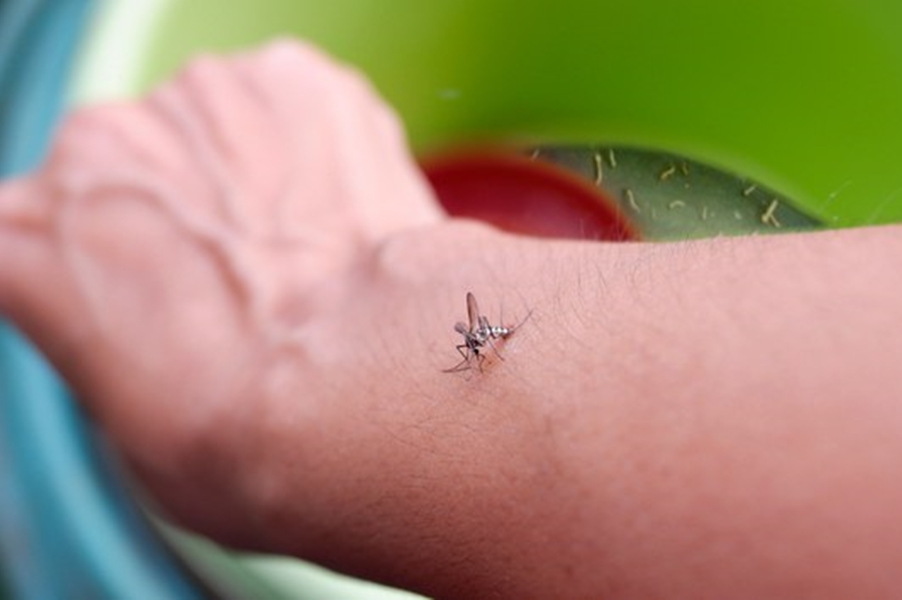 NACIONAL: Ministério da Saúde lança campanha de controle da dengue, zika e chikungunya