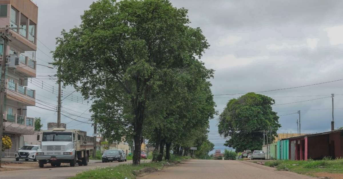 ARBORIZAÇÃO: Prefeitura realiza poda de árvores e emite liberações à população