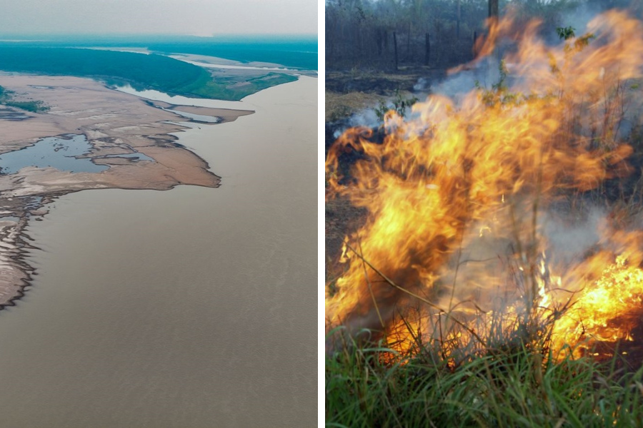 ENQUETE: Você votaria em um candidato que defende o meio ambiente?