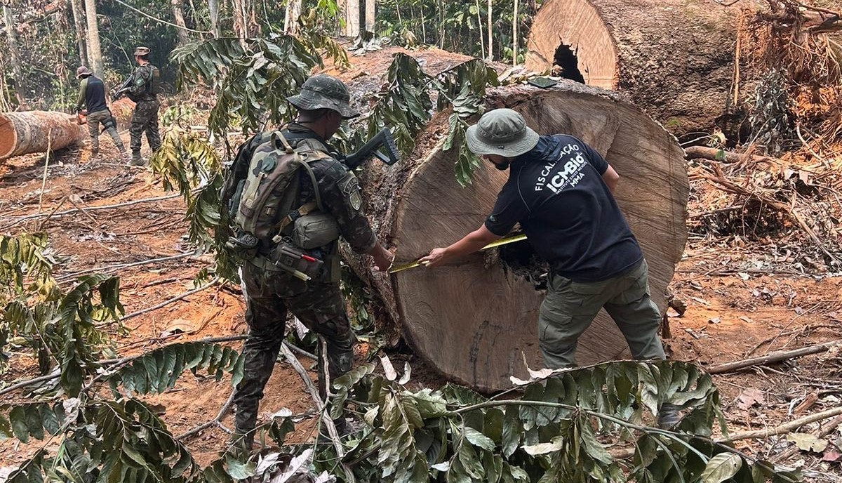 OPERAÇÃO CURARETINGA: Exército participa de ação integrada de combate ao crime ambiental