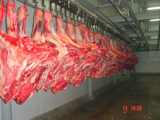 Representantes do governo chileno se interessam por importar carne de RO após conhecer defesa sanitária