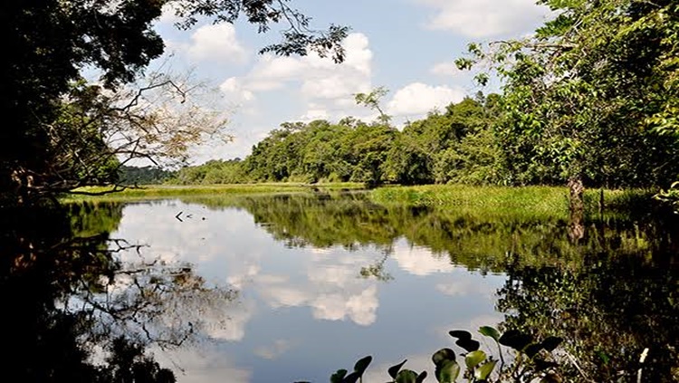 RESERVA AMBIENTAL: Justiça condena empresa a pagar R$ 15 mil por dano moral coletivo em razão de degradação