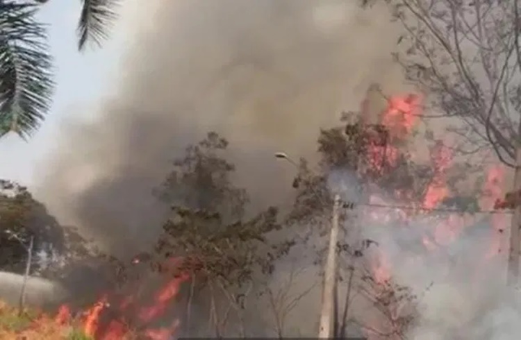 CEREJEIRAS: Incêndio de grandes proporções em área de vegetação é registrado 