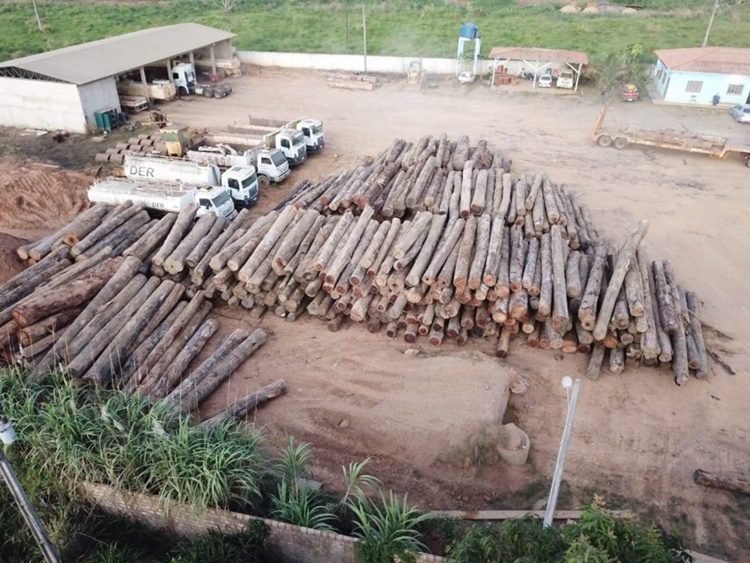 RONDÔNIA: Ações de fiscalização, combate a incêndios florestais e extração ilegal de madeira são reforçados