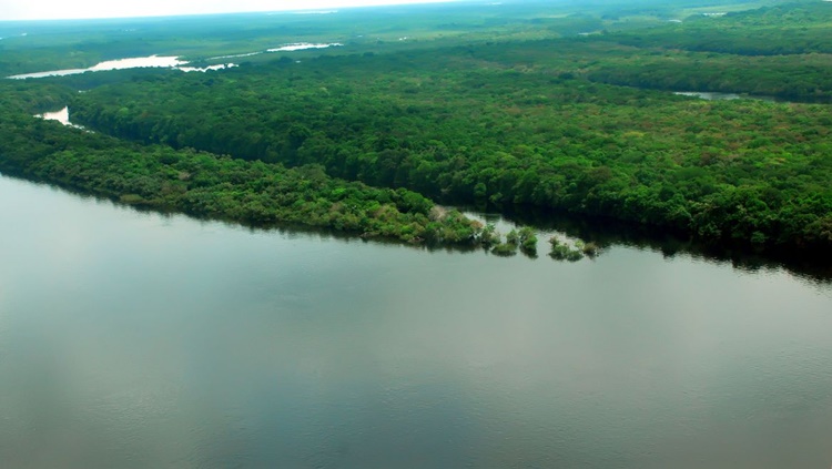 MEDIDAS: Plano do governo apresenta metas para reduzir desmatamento na Amazônia