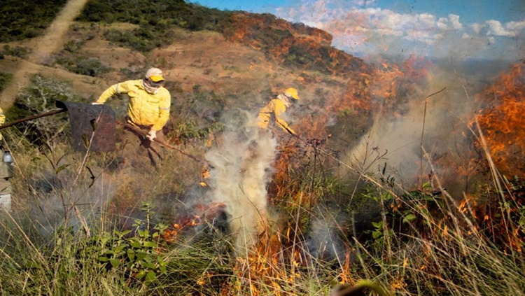 MAIS QUEIMADAS: Cortes no orçamento do Icmbio podem acabar com brigadas de incêndio no país