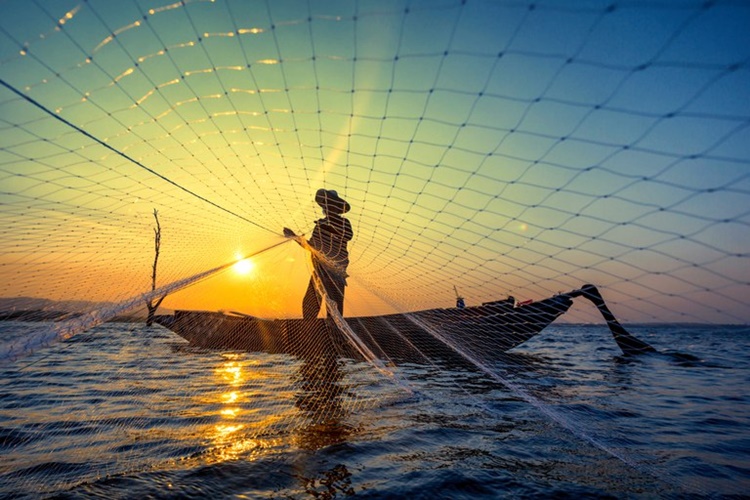 APOIO: Pescadores poderão apresentar registro para ter acesso a financiamentos