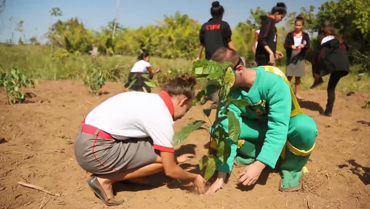 ÁREAS DE PRESERVAÇÃO: Dia de Proteção às Florestas será celebrado com revitalização em Cacoal e Ji-Paraná