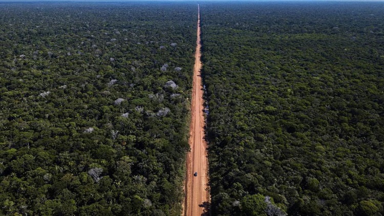 APROVADOS: Capes divulga selecionados para programa de pesquisa na Amazônia Legal