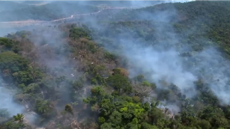 NATUREZA: Mourão faz apelo a moradores da Amazônia: 'Vamos evitar queimadas'