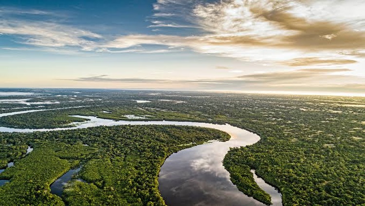 INVESTIMENTOS: Iniciativa privada é fundamental para realização dos projetos na Amazônia, diz Bolsonaro