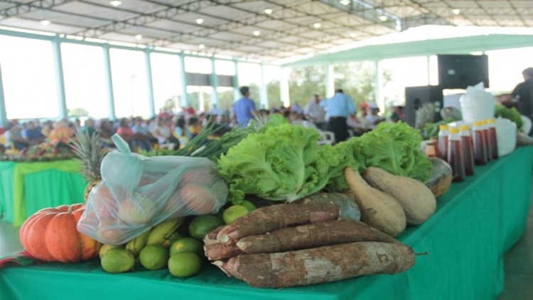 AGRICULTURA FAMILIAR: Mais de mil produtores de RO atenderão o PAA Federal na aquisição de alimentos