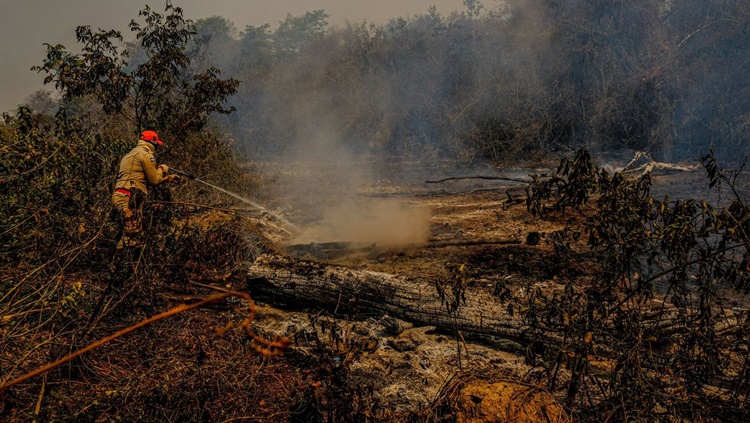 DANOS: Incêndios levam Mato Grosso do Sul a decretar situação de emergência