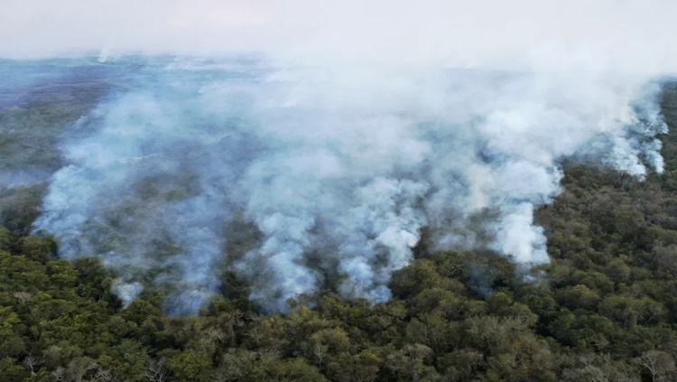 REFORÇO: Bombeiros da Força Nacional vão combater incêndios em Mato Grosso