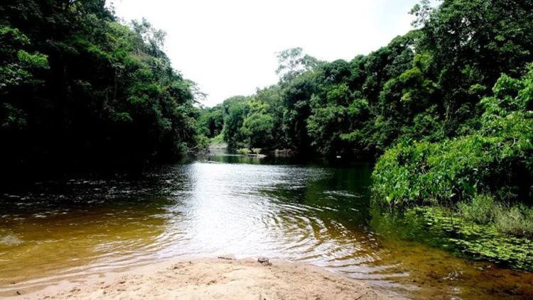 NATUREZA: Plataformas orientam eleitores e prefeitos sobre agenda ambiental