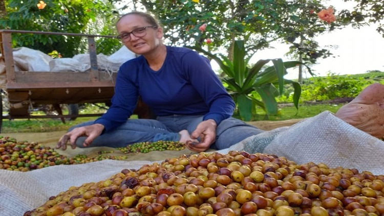 RANKING NACIONAL: Cafeicultora de RO conquista o primeiro lugar no 'Coffee Of The Year 2020'