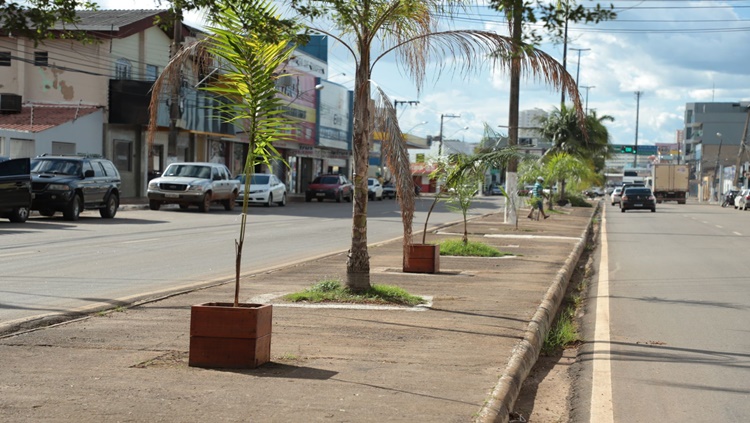 PAISAGISMO: Painéis com jardim vertical e vasos são instalados na avenida Nações Unidas