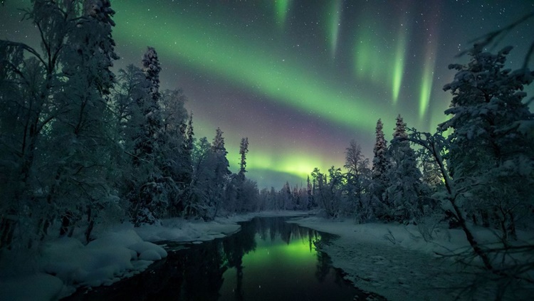 ESPETÁCULO: Auroras boreais podem ser vistas nas noites geladas do Norte da Europa