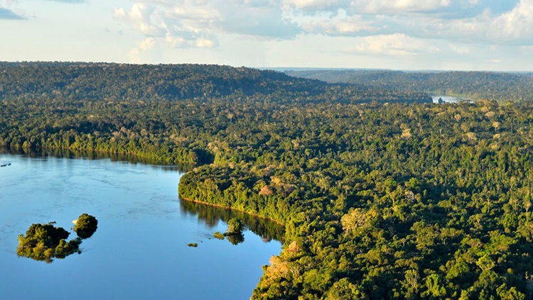 MEIO AMBIENTE: Programa do Governo Federal permite que empresas adotem áreas na Amazônia