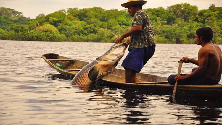 SUPORTE: Mapa busca crédito mais acessível para pescadores e aquicultores