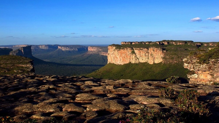 DESTINOS: Ecoturismo deve ser tendência para viagens mais seguras em 2021