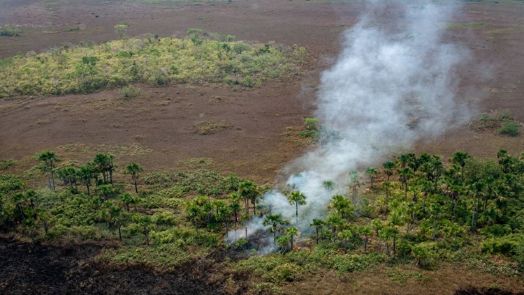 QUEIMADAS: Porto Velho lidera emissão de gases de efeito estufa na Amazônia