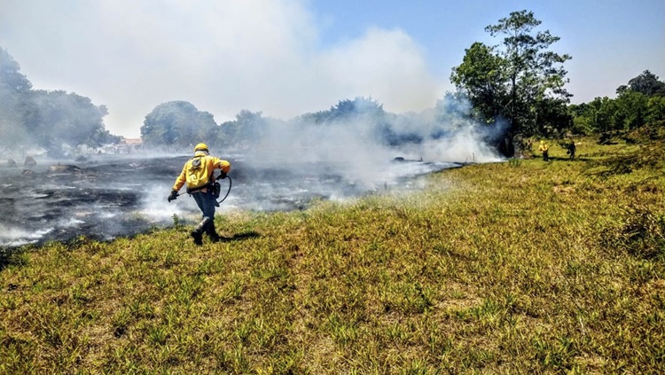 OUTROS LOCAIS: Ministério decreta situação de emergência ambiental prévia