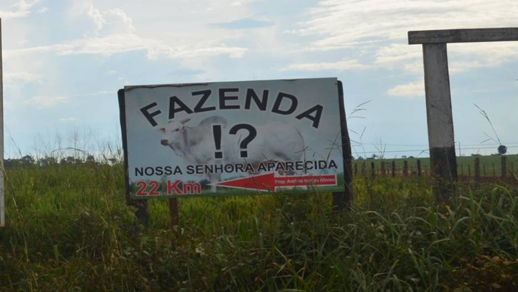 TENSÃO: Seguranças privados e invasores trocam tiros em fazenda de Rondônia