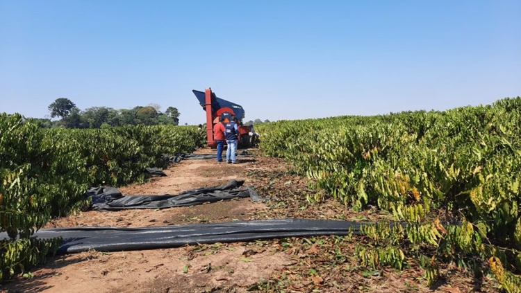 REFERÊNCIA: Produtividade do agronegócio de Rondônia chama atenção de outros estados