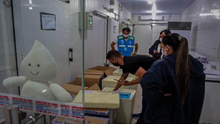 IMUNIZANTES: Rondônia recebe remessa com 29 mil doses de vacina contra covid-19