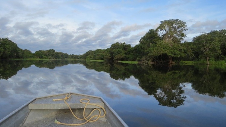 Cruzeiros pelos rios da Amazônia – por que não?