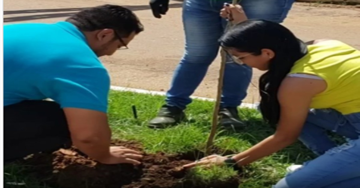 AV RIO MADEIRA: Serviço de arborização inicia após pedido do vereador Gilber Mercês