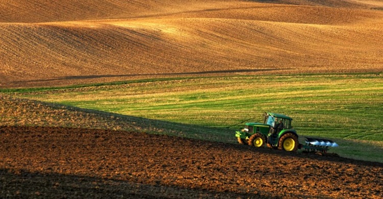 SEGURO RURAL: Regiões Norte e Nordeste receberão R$ 50 milhões de subvenção