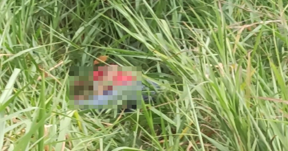ASSASSINATO: Corpo de homem é encontrado com vários tiros em matagal