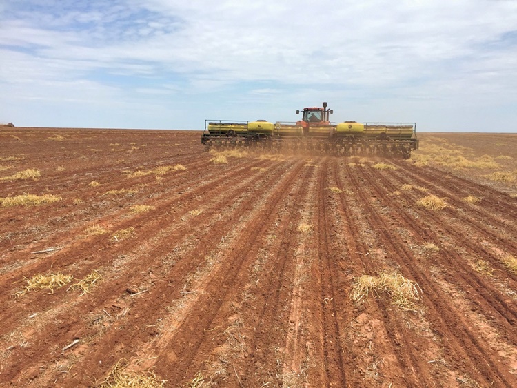 ESCUDO: Exportações do agronegócio reduzem a queda do PIB brasileiro