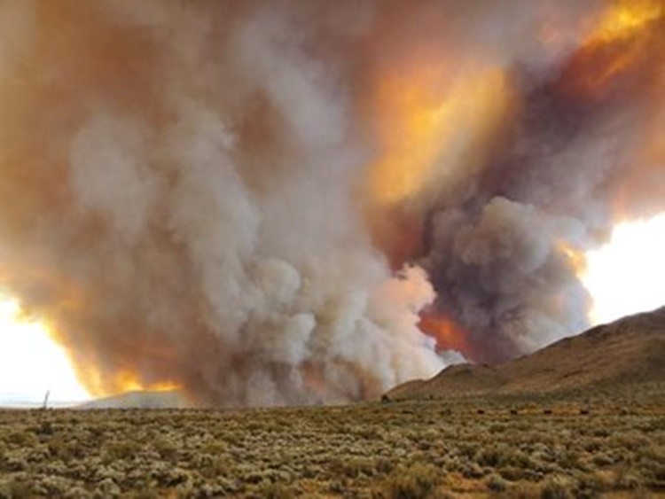 TORNADOS DE FOGO: Incêndio nos Estados Unidos causa fenômeno raro e assustador