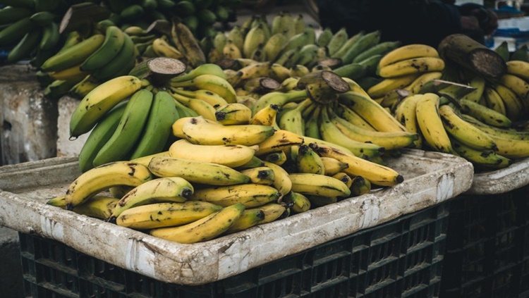 MÊS DE ABRIL: Publicada relação de produtos da agricultura familiar com bônus 