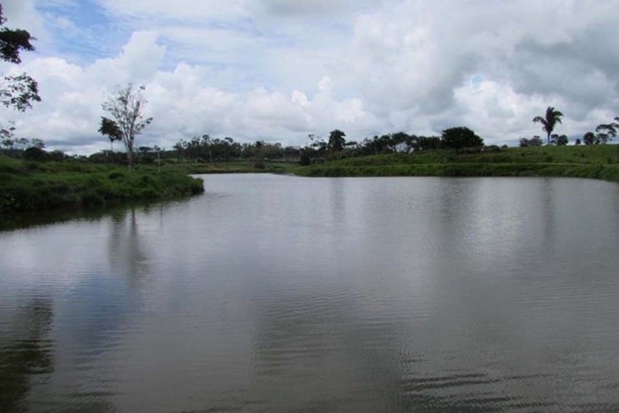 LICENÇA AMBIENTAL: Pedidos para criação de peixe aumentam em Rondônia